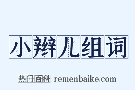 小辫儿组词是什么意思的图片